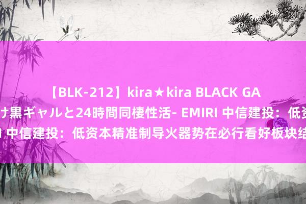 【BLK-212】kira★kira BLACK GAL レンタル痴女GAL-日焼け黒ギャルと24時間同棲性活- EMIRI 中信建投：低资本精准制导火器势在必行看好板块结构性复苏