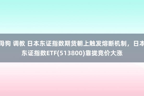 母狗 调教 日本东证指数期货朝上触发熔断机制，日本东证指数ETF(513800)靠拢竞价大涨