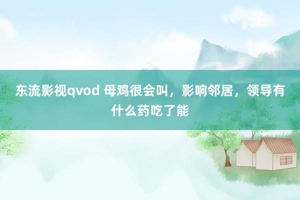 东流影视qvod 母鸡很会叫，影响邻居，领导有什么药吃了能