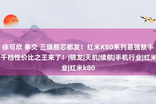 徐可欣 拳交 三旗舰芯都发！红米K80系列最强敌手，两千档性价比之王来了！|骁龙|天玑|续航|手机行业|红米k80